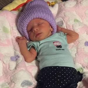 Meet your Posher, Patsy